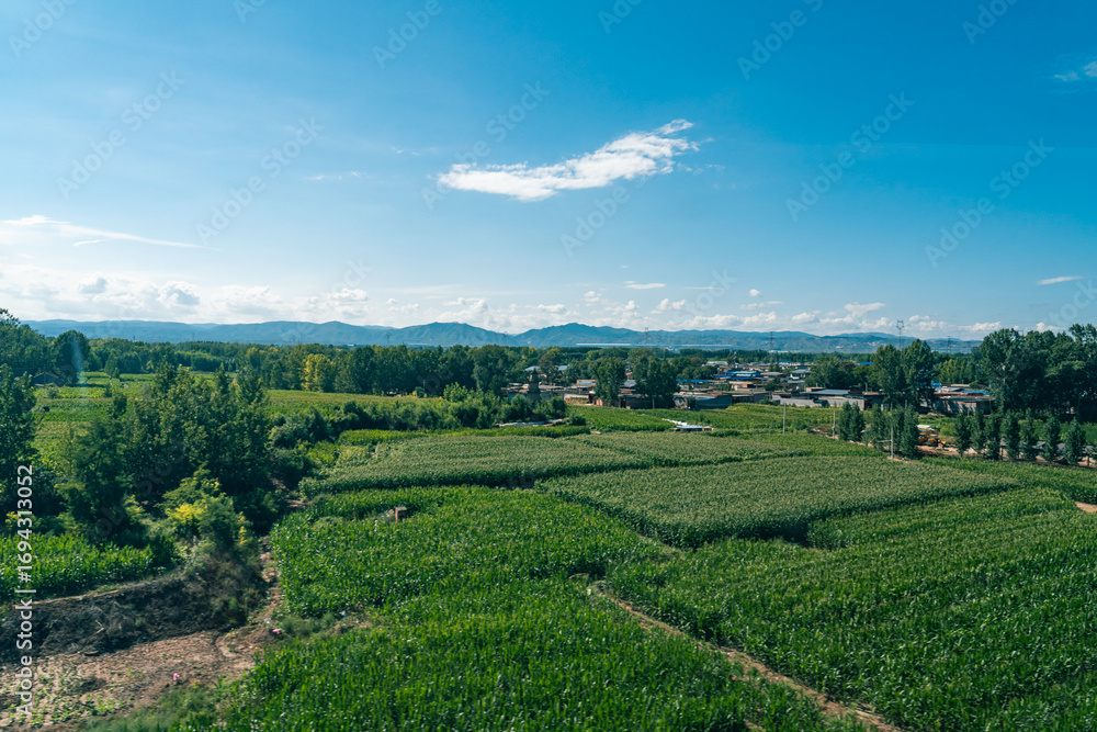 Fototapeta premium panoramic view of the forest and field