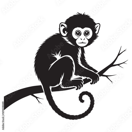 A curious black silhouette of a young monkey perched on a thin tree branch with a curly tail