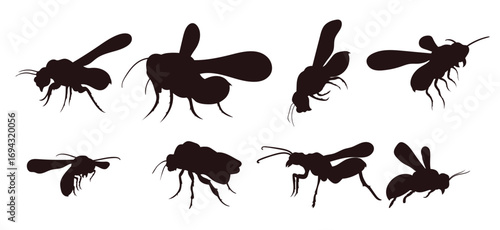 bee silhouette with many options flying bee honey insect