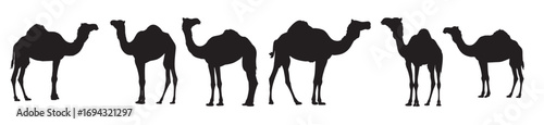  camel silhouette design vector illustration