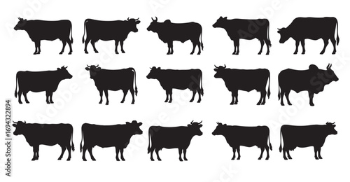 Cows silhouette white background vector illustration