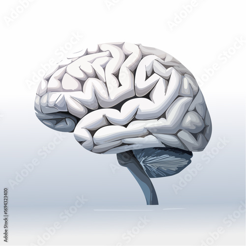 The brain is black and white, but it doesn't curve at all.