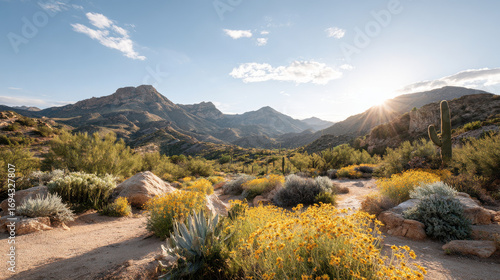 experience breathtaking summer landscapes of arizona deserts where sun blazes in clear blue sky