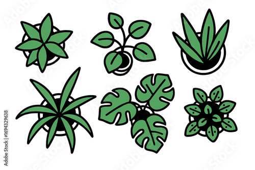 Set of various green houseplants in pots seen from a top down view, collection of isolated foliage icons for home decor and interior design concepts