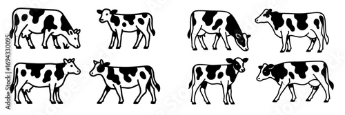 Set of black and white Holstein cow icons shown in various poses like standing, walking, and grazing for farm and dairy branding concepts