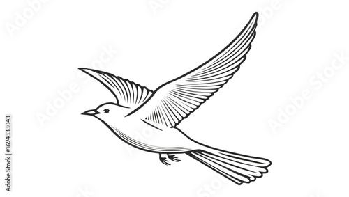 Elegant line drawing of a flying dove, a symbol of peace, hope, and freedom on a white background