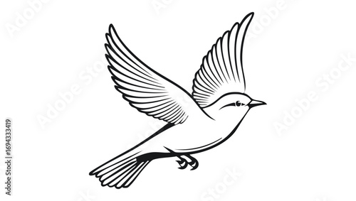 Illustration of a bird in flight with wings spread