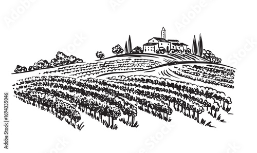 Vineyard landscape with building on the hill hand drawn.	