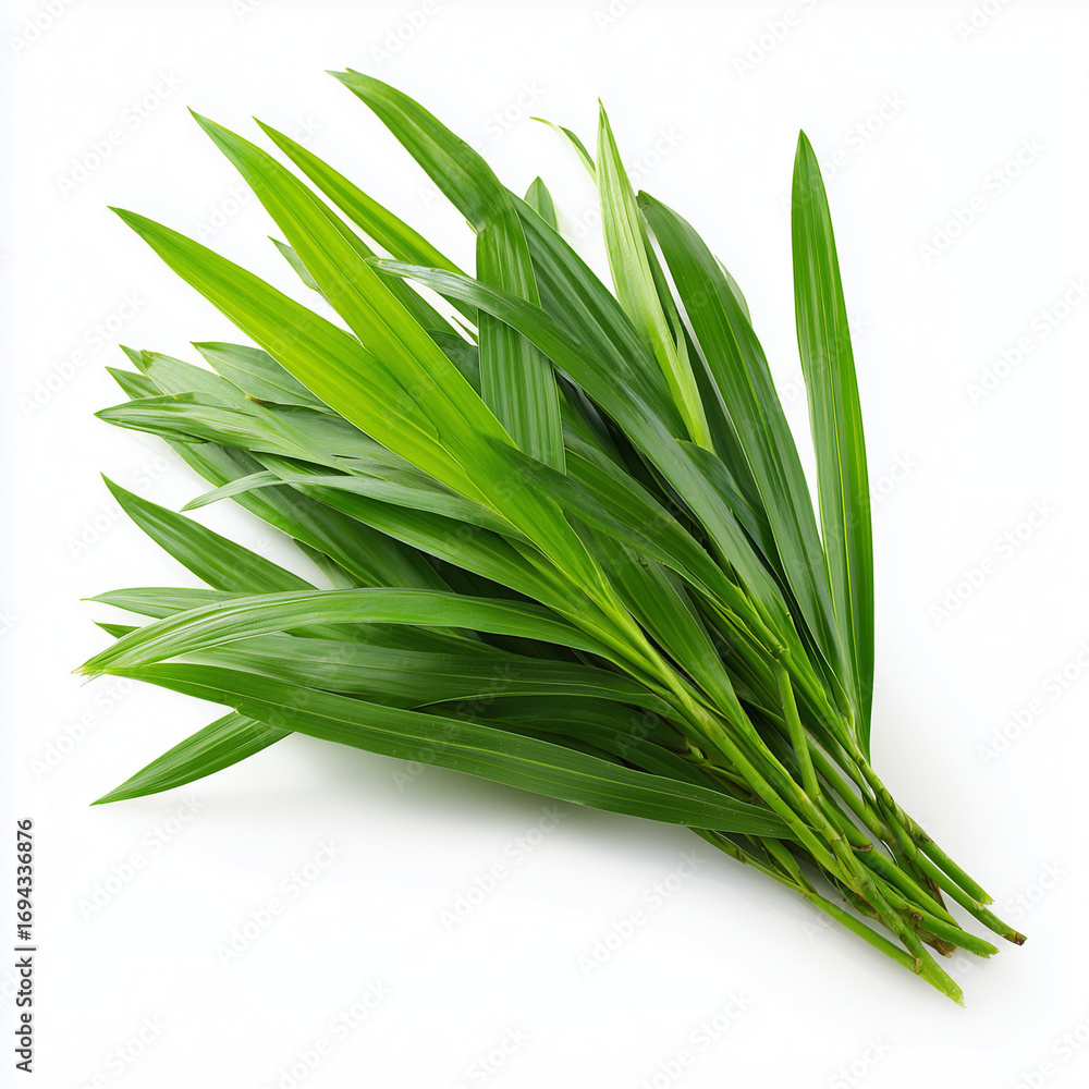 Fototapeta premium pandan leaves on white background