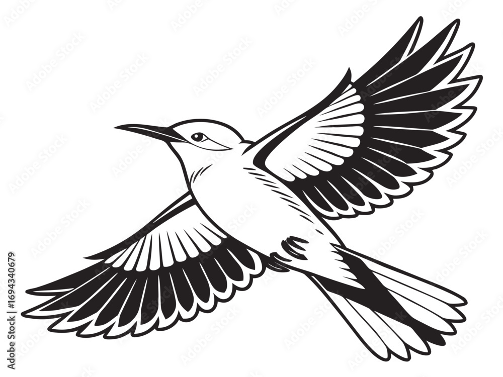 Fototapeta premium bird in flight