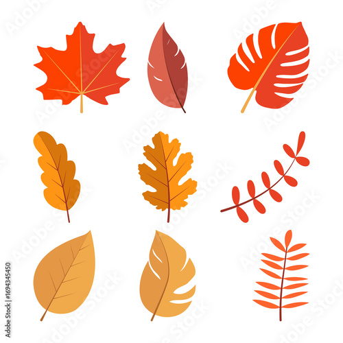 Colorful Autumn Leaves Vector Set, Fall Foliage Clipart Collection
