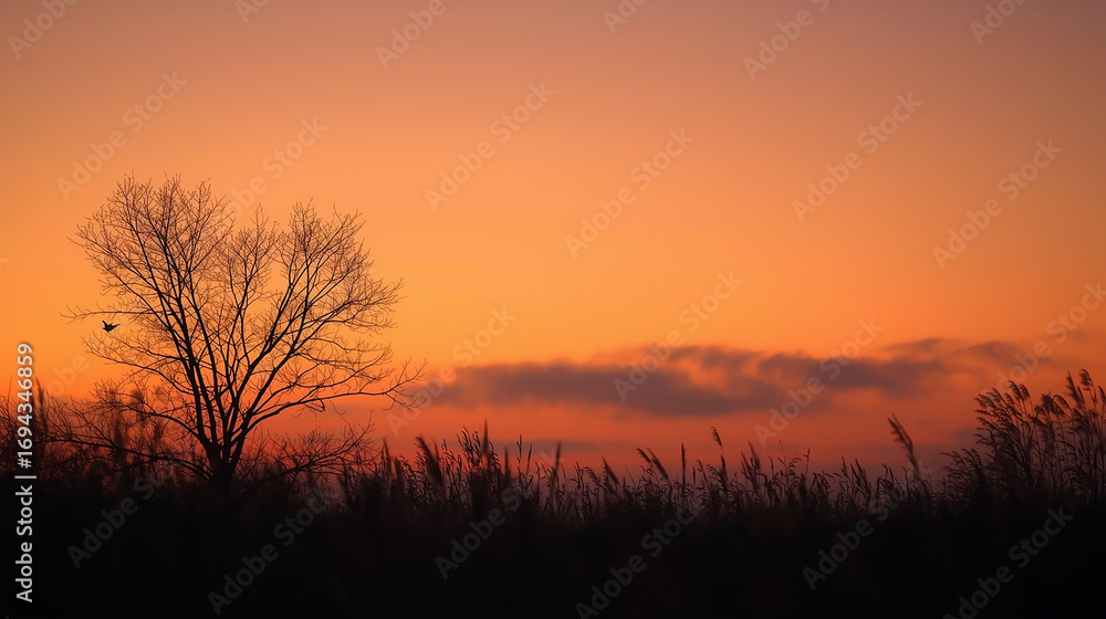 Fototapeta premium 穏やかな秋の夕暮れ