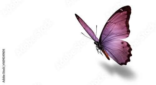 Papillon mauve vole gracieusement fond blanc lumiere douce. AI Generated
