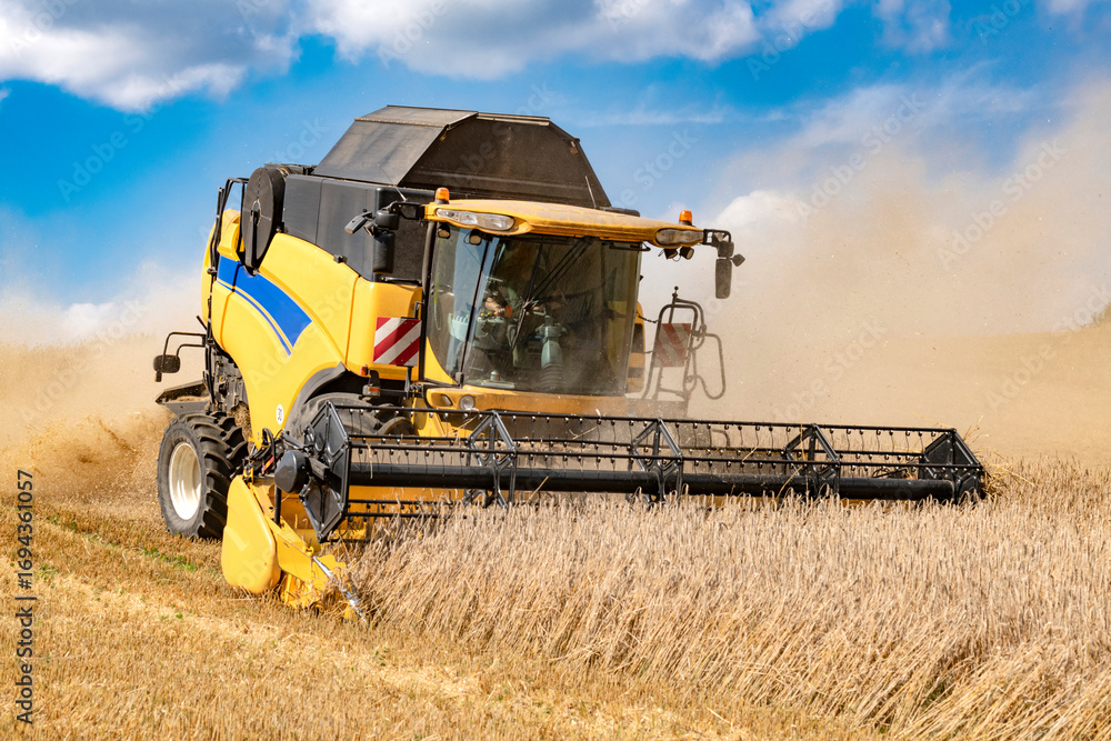 Obraz premium Combine harvester in a rye field during harvest - 9002