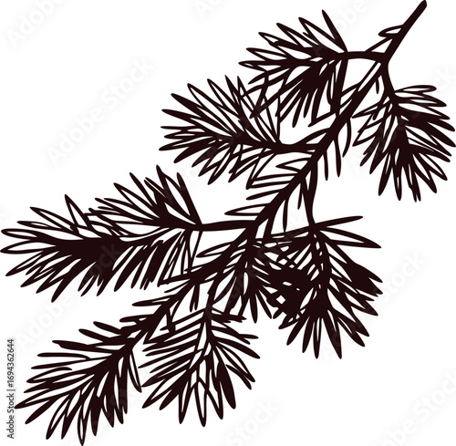 Hand drawn fir tree branch silhouette isolated on white background vintage botanical illustration