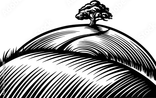 hand drawn lone tree on hilltop with intricate vintage engraving lines and textured landscape illustration