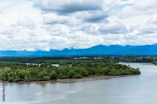 Wallpaper Mural Lush green riverbanks near Buenaventura, Colombia, with dense tropical vegetation.  Torontodigital.ca