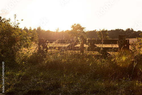 sunset behind a wooden fence