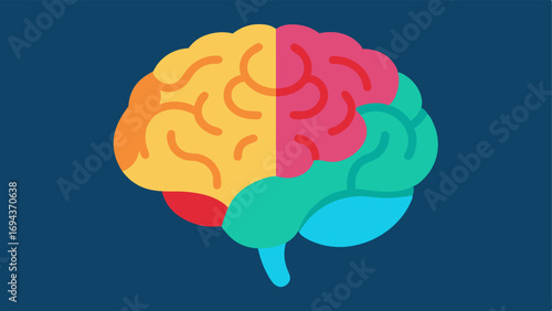 Brain Imaging A detailed section of the brain from an MRI scan featuring bright colors to illustrate regions connected to cognitive health and longevity.