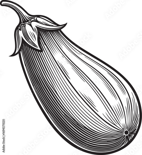 Eggplant or Aubergine Vegetable Vector Illustration, Simple Doodle Sketch Drawing Line Linear Symbol Icon Coloring Book, Hand-drawn Black and White Isolated