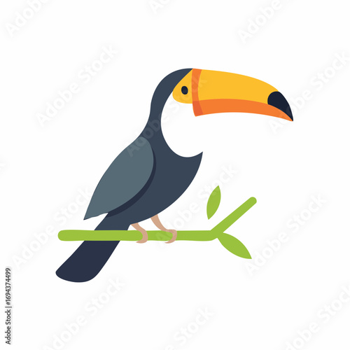 Colorful Toucan Perched On Branch
