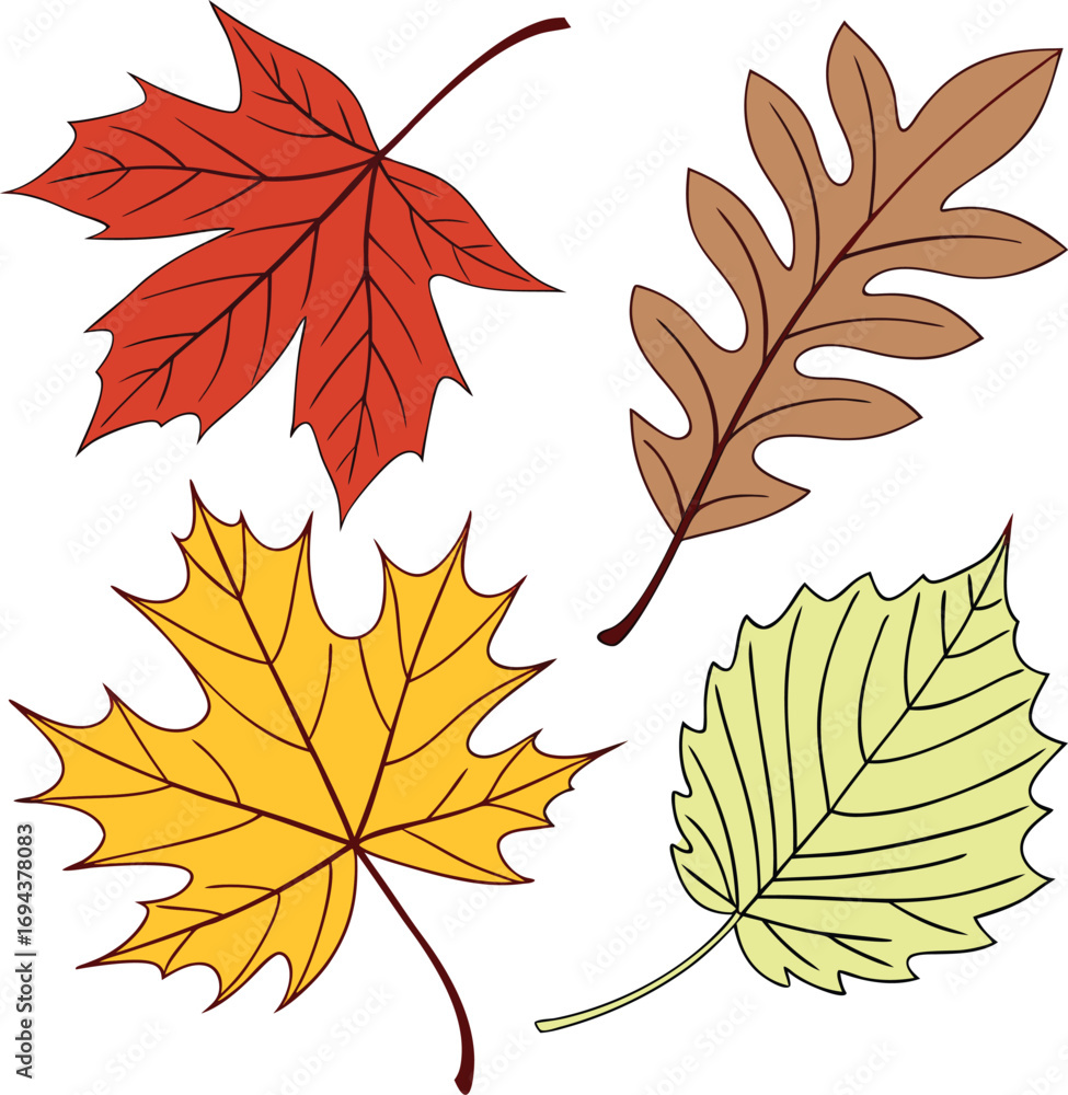 Fototapeta premium Fall Vector Files, Autumn Leaf, Thanksgiving File, Colorful Leaves