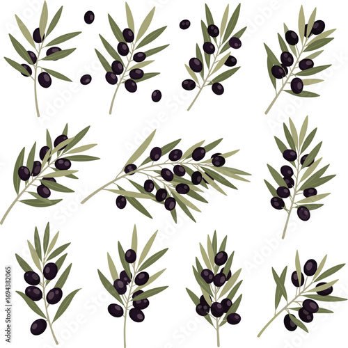 Create a kinds of deferent Black olive branch vector art with white background.