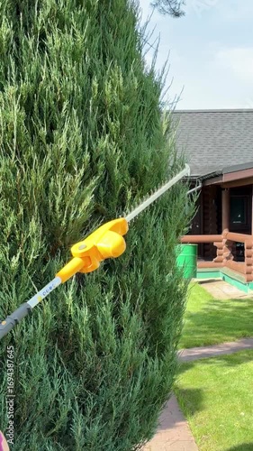 Wallpaper Mural Pruning a Lush Green Hedge in a Serene Garden During Bright Daylight Torontodigital.ca