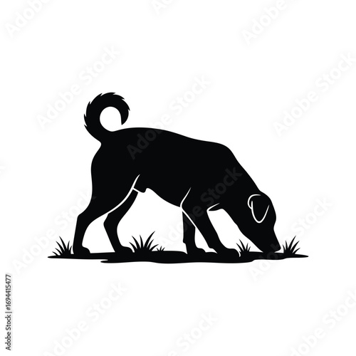 Silhouette of a dog sniffing grass exploration domestic animal walking outdoors pet love canine vector