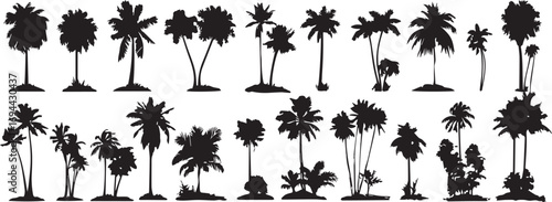 Set of black palm tree silhouettes 