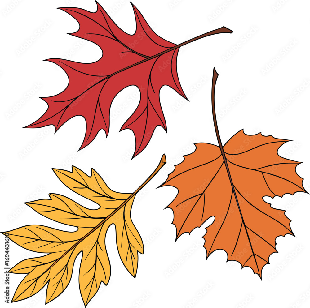 Obraz premium Autumn Leaves File, Fall Vector , Leaves Vector