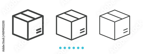package icon. Thin line icon vector