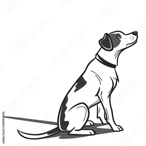 Black and White Dog Sitting and Looking Upward