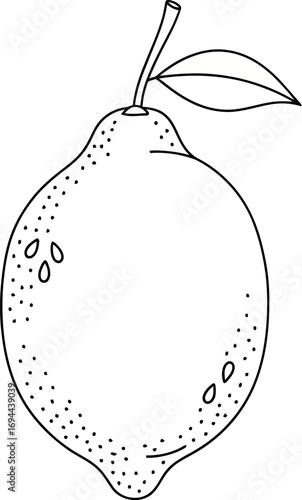 Human Heart Line Art Illustration