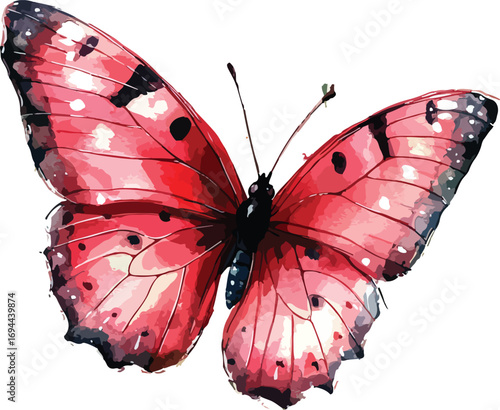 Colorful orange and black monarch butterfly on a white background