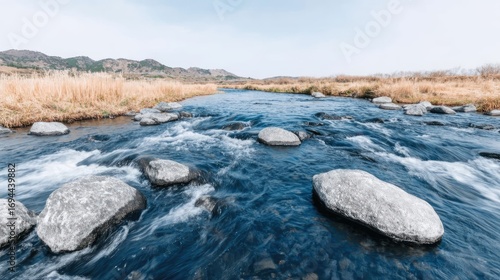 A quiet countryside stream with smooth stones and dragonflies, warm sunlight, tall grass swaying in the breeze, peaceful nature 