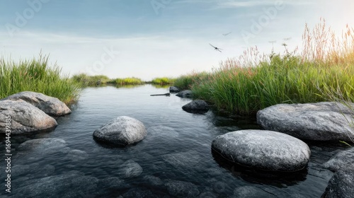 A quiet countryside stream with smooth stones and dragonflies, warm sunlight, tall grass swaying in the breeze, peaceful nature 