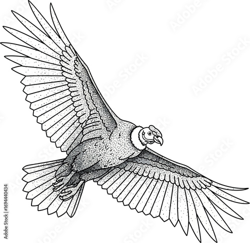 Red Rose Vector Illustration