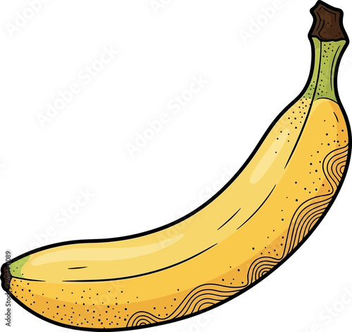 Hand-drawn Avocado Illustration