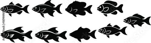 Fish silhouette aquatic animal solid black minimal illustration on white clean background