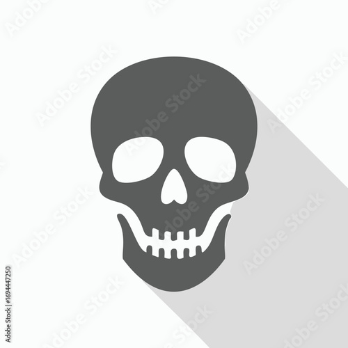 Dark gray skull with white eye sockets and teeth human skull skeleton