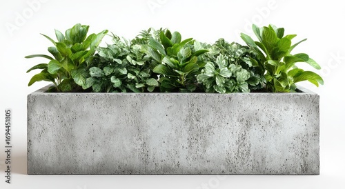 Gray concrete planter box filled with lush greenery