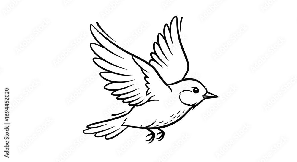 Fototapeta premium A beautiful bird takes flight wings spread wide against a clear sky