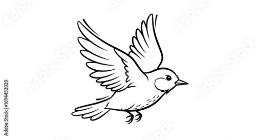 A beautiful bird takes flight wings spread wide against a clear sky