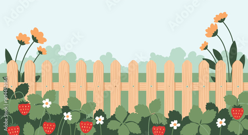 A beautiful summer garden scene with ripe strawberries growing behind a wooden fence