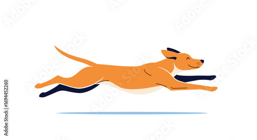 Energetic orange dog sprinting gracefully through open field during daytime adventure