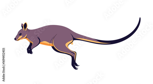 Animated australian kangaroo leaping through the air in a dynamic illustration style