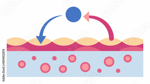 Cell Regeneration A depiction of exosomes initiating cell regeneration with arrows indicating growth and transformation of skin into a fuller smoother appearance.