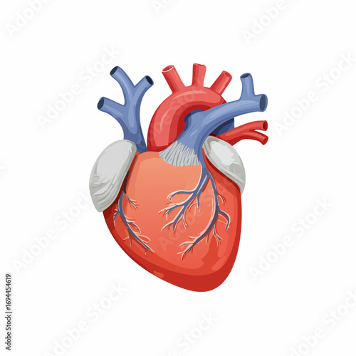Emoji human Heart. Real human heart organ icon. Red heart icon in flat style isolated vector illustration.