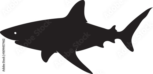 White isolated vector illustration of a wild shark swimming in the ocean